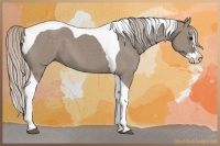 Horse Color:Silver Grullo Splash Tobiano 