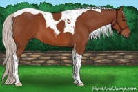 Horse Color:Silver Bay Tobiano