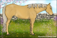 Horse Color:Gray Palomino Roan