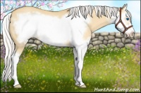 Horse Color:Silver Classic Cream Champagne Dun Splash Frame