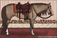Horse Color:Liver Red Dun Sabino