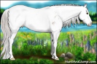 Horse Color:Silver Brown Sabino Leopard