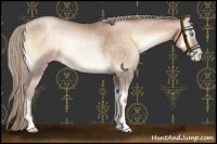 Horse Color:Chocolate Palomino Pearl Onyx Rabicano 