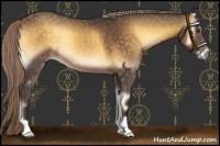 Horse Color:Chocolate Palomino Onyx 