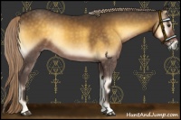 Horse Color:Chocolate Palomino Onyx