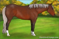 Horse Color:Silver Brown 