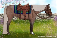 Horse Color:Silver Brown Roan 