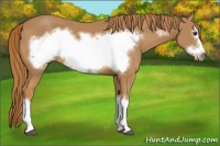 Horse Color:Chestnut Frame