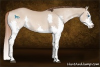 Horse Color:Red Dun Splash 