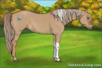 Horse Color:Red Dun Tobiano