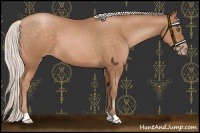 Horse Color:Silver Brown Pearl