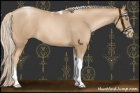 Horse Color:Chocolate Palomino Pearl Tobiano 