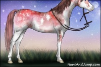 Horse Color:Painted Liver Red Onyx Ice Splash Rabicano 