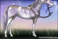 Horse Color:Watercolor White Spotted Liver Red Onyx Rabicano 