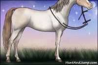 Horse Color:Liver Chestnut Pearl 