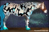 Horse Color:Liver Red Onyx Roan Appaloosa