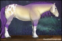 Horse Color:Watercolor Buckskin Onyx Appaloosa 