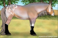 Horse Color:Watercolor Liver Red Onyx Appaloosa 