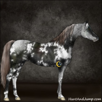 Horse Color:White Spotted Liver Chestnut Ice 