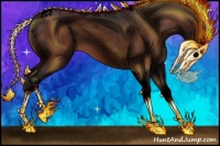 Horse Color:Void Bay Tobiano 