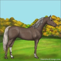 Horse Color:Silver Black 