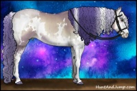 Horse Color:Watercolor White Spotted Liver Red Dun Onyx Sabino Brindle