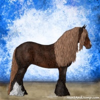 Horse Color:Liver Chestnut Ice