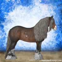 Horse Color:Liver Chestnut Mushroom Sabino Rabicano 