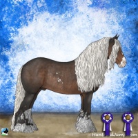 Horse Color:Liver Chestnut Mushroom Sabino Rabicano 