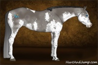 Horse Color:Grullo Splash Tobiano 