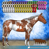 Horse Color:White Spotted Silver Bay 