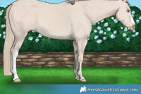 Horse Color:Smoky Creme 