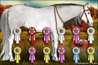 Horse Color:Smoky Blue Roan Splash 