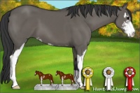 Horse Color:Grullo Sabino