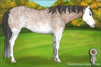 Horse Color:White Spotted Bay Dun Splash Rabicano 