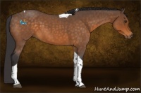 Horse Color:Buckskin Roan Tobiano 