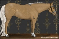 Horse Color:Silver Smoky Black Sabino 
