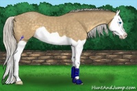 Horse Color:Silver Classic Cream Champagne Splash 