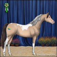 Horse Color:Amber Champagne Tobiano 
