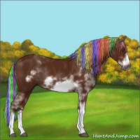 Horse Color:Gray Painted Silver Bay Sabino Frame Rabicano