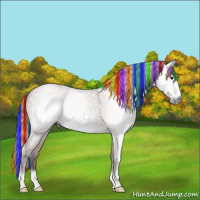 Horse Color:Gray Painted Silver Bay Dun Frame Rabicano