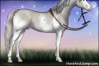 Horse Color:Platinum White Spotted Silver Brown Dun Sabino Rabicano 