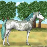 Horse Color:Painted Watercolor White Spotted Chocolate Palomino Dun Splash