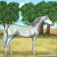 Horse Color:Painted Watercolor Chocolate Palomino Dun Splash 