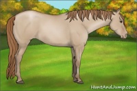 Horse Color:Grullo Snowdrop Pearl Sabino Varnish 