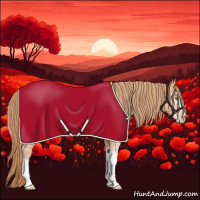 Horse Color:Gold Champagne Sabino Appaloosa 