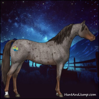 Horse Color:Liver Red Roan 