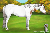 Horse Color:White Spotted Buckskin Splash Tobiano Frame Appaloosa Rabicano 