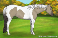 Horse Color:Smoky Grullo Tobiano