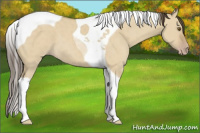 Horse Color:Classic Cream Champagne Dun Tobiano 
